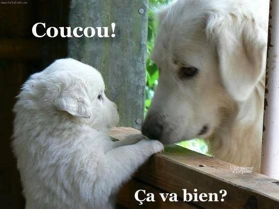 http://chantal67.c.h.pic.centerblog.net/8abd3b1f.jpg
